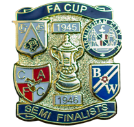 fa-cup lapel pin