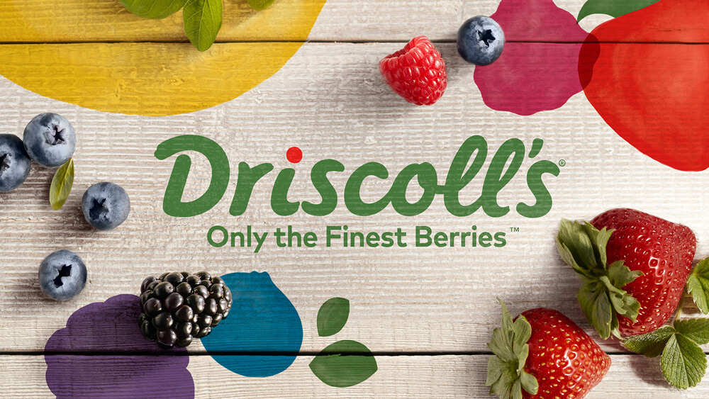 food and beverage slogans driscoll's berries